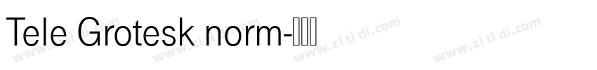 Tele Grotesk norm字体转换
